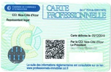 Card profesional pentru agent imobiliar Franta